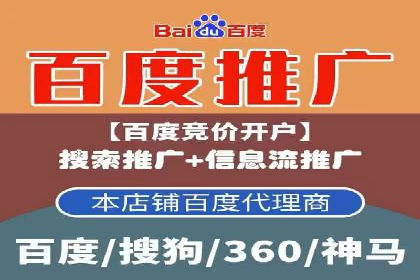 竞价广告端口开户的典型案例剖析